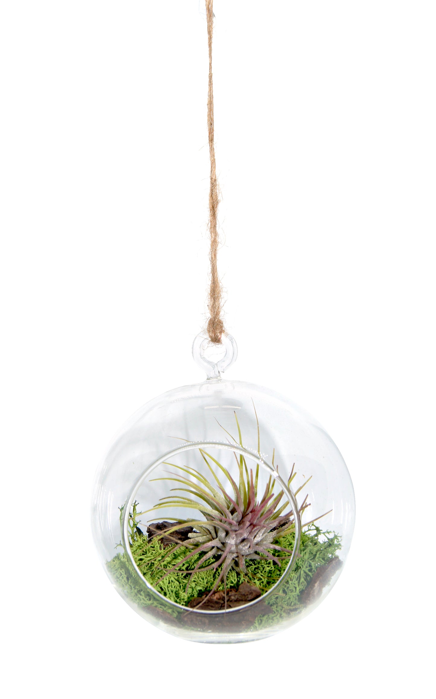 Miniaturgarten im Glas zum aufhängen 12cm "handmade"