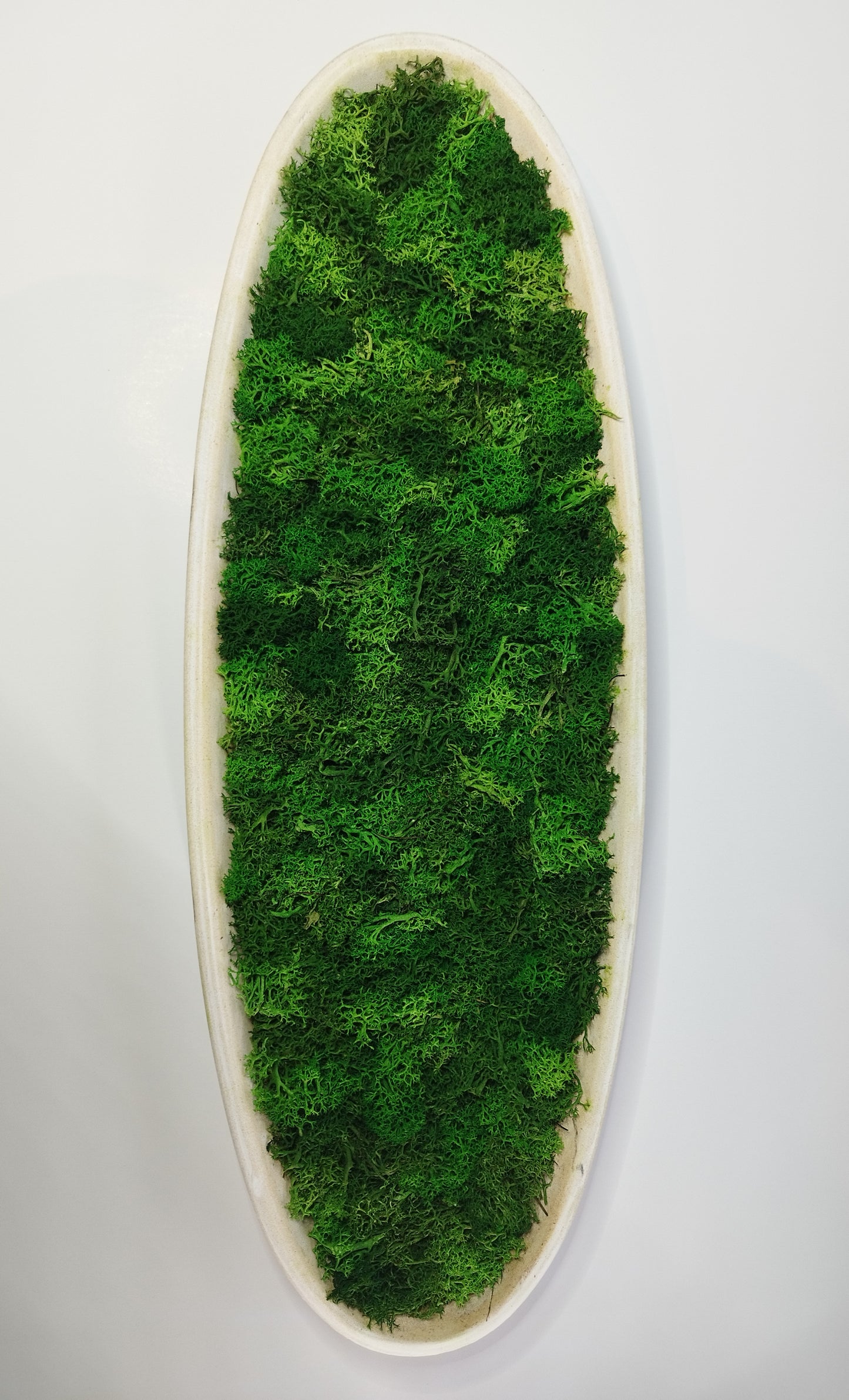 Moosbild Oval XXL 50 cm