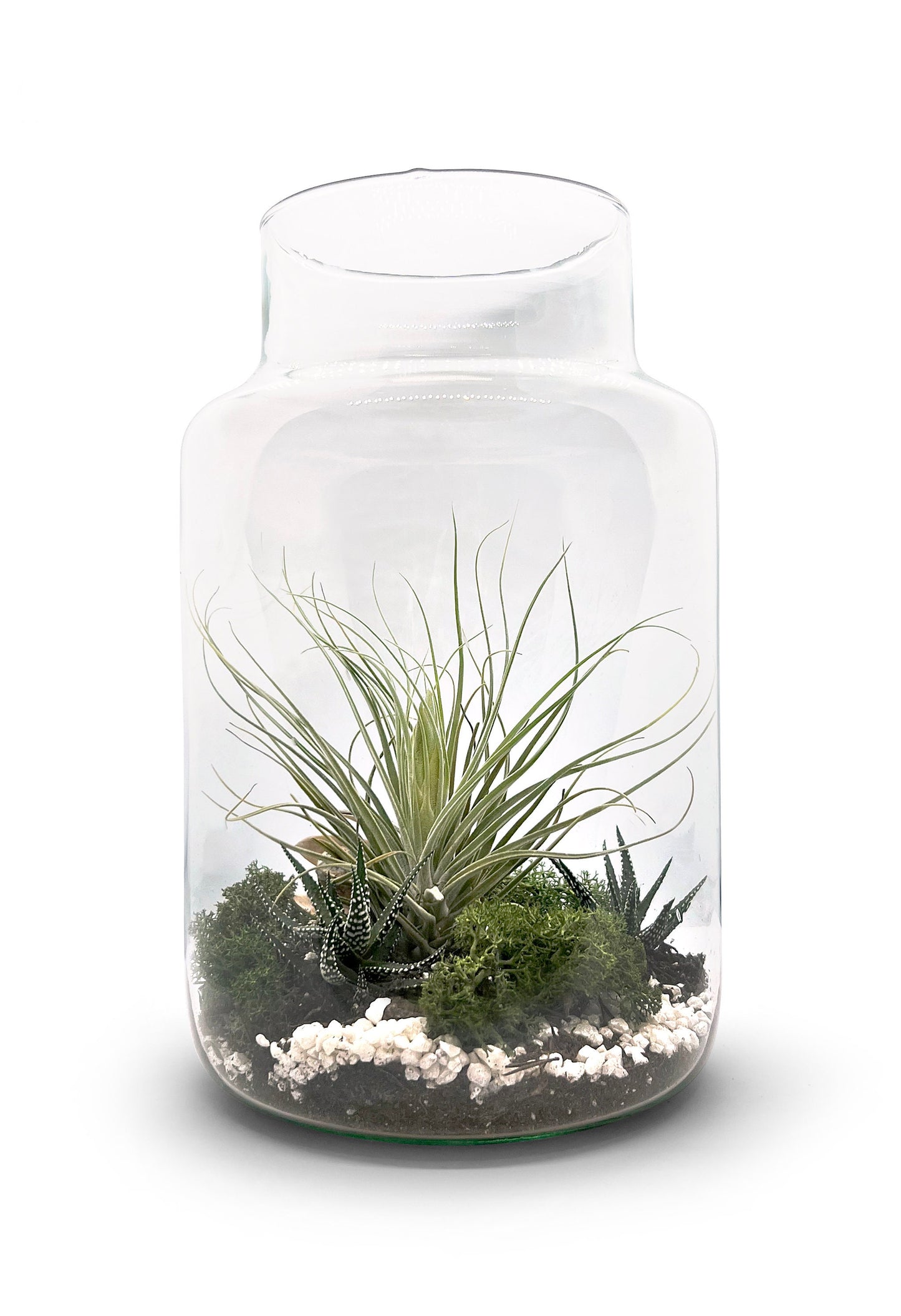 Flaschengarten 30cm Höhe