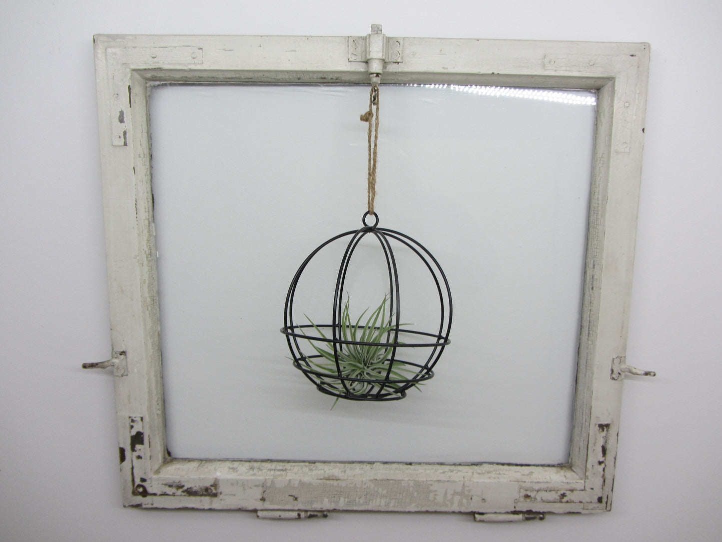 Hanging Ball mit Tillandsie Keine Kunstpflanze