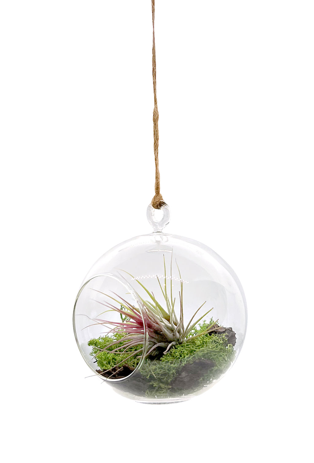 Miniaturgarten im Glas zum aufhängen 12cm "handmade"