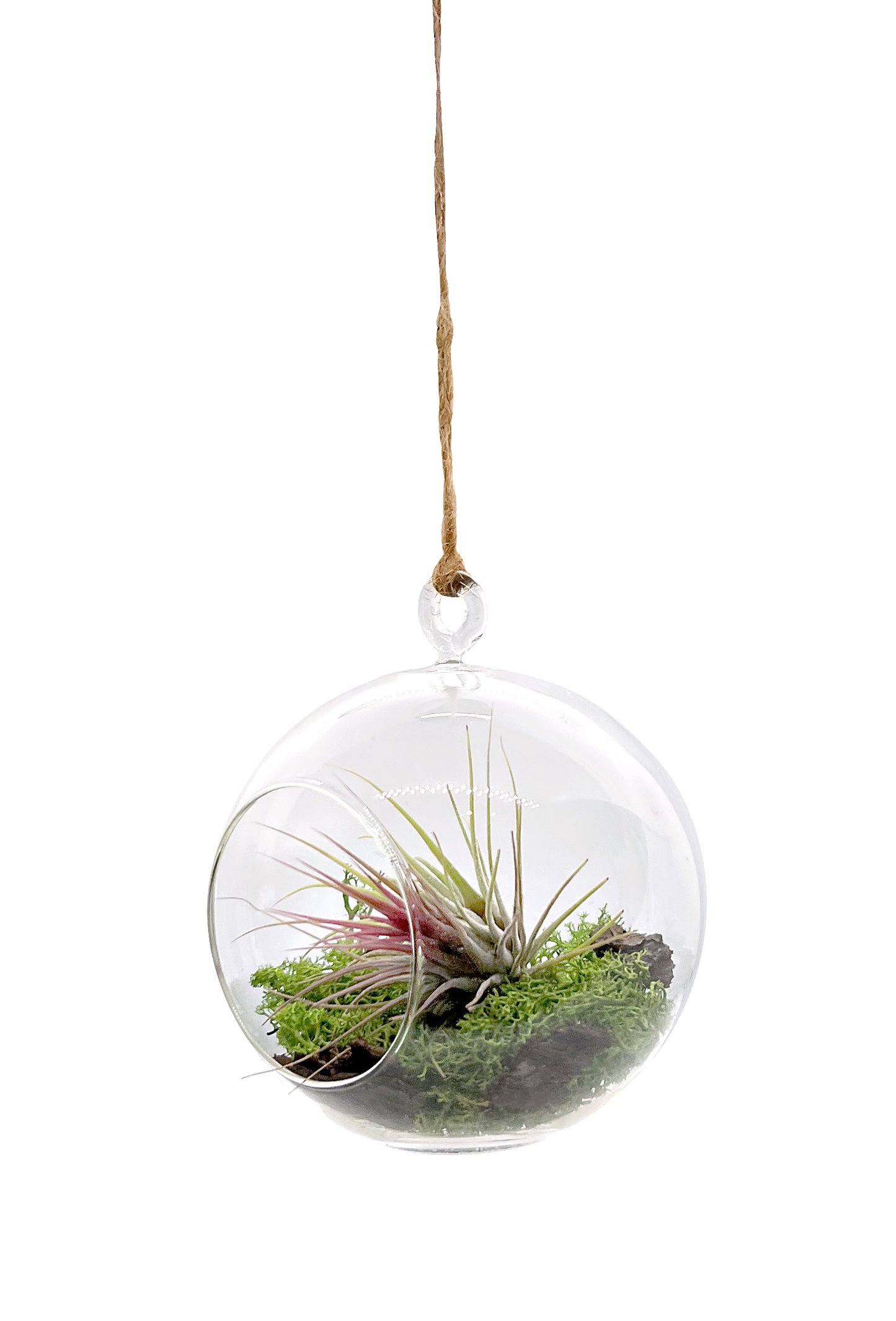 Miniaturgarten im Glas zum aufhängen 12cm "handmade"