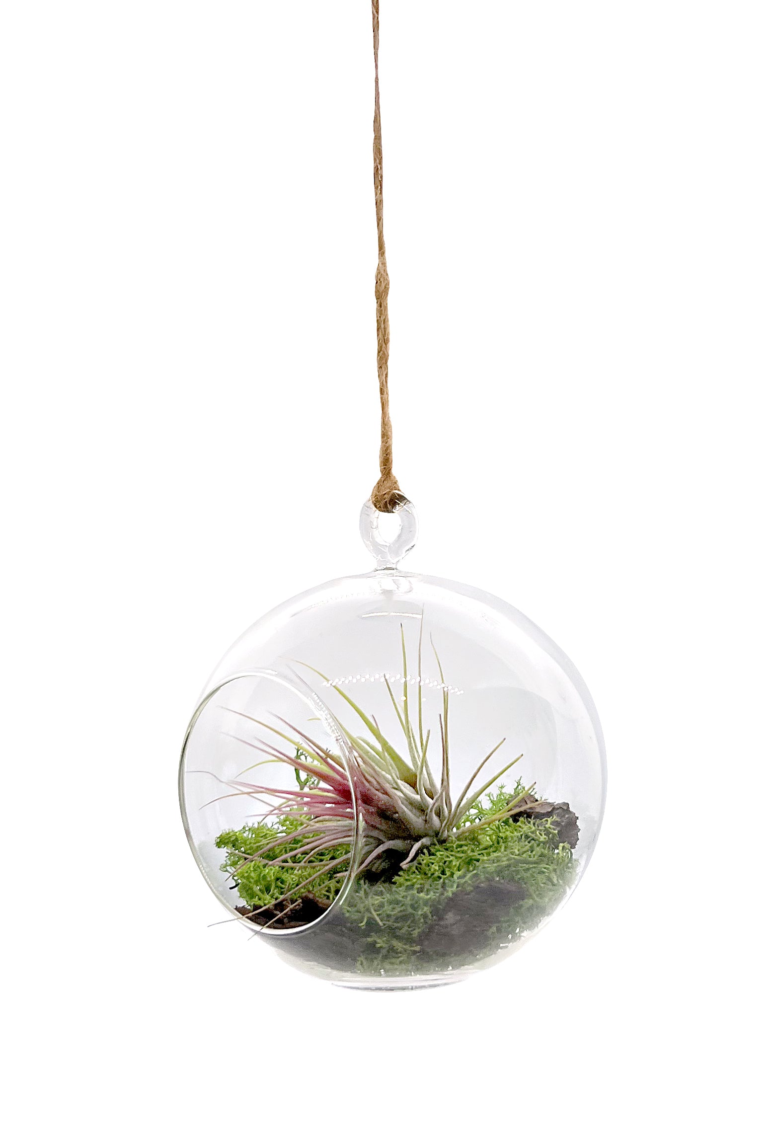 Miniaturgarten im Glas zum aufhängen 12cm "handmade"