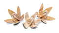 getrocknete Wildlilien in natur 3er Set