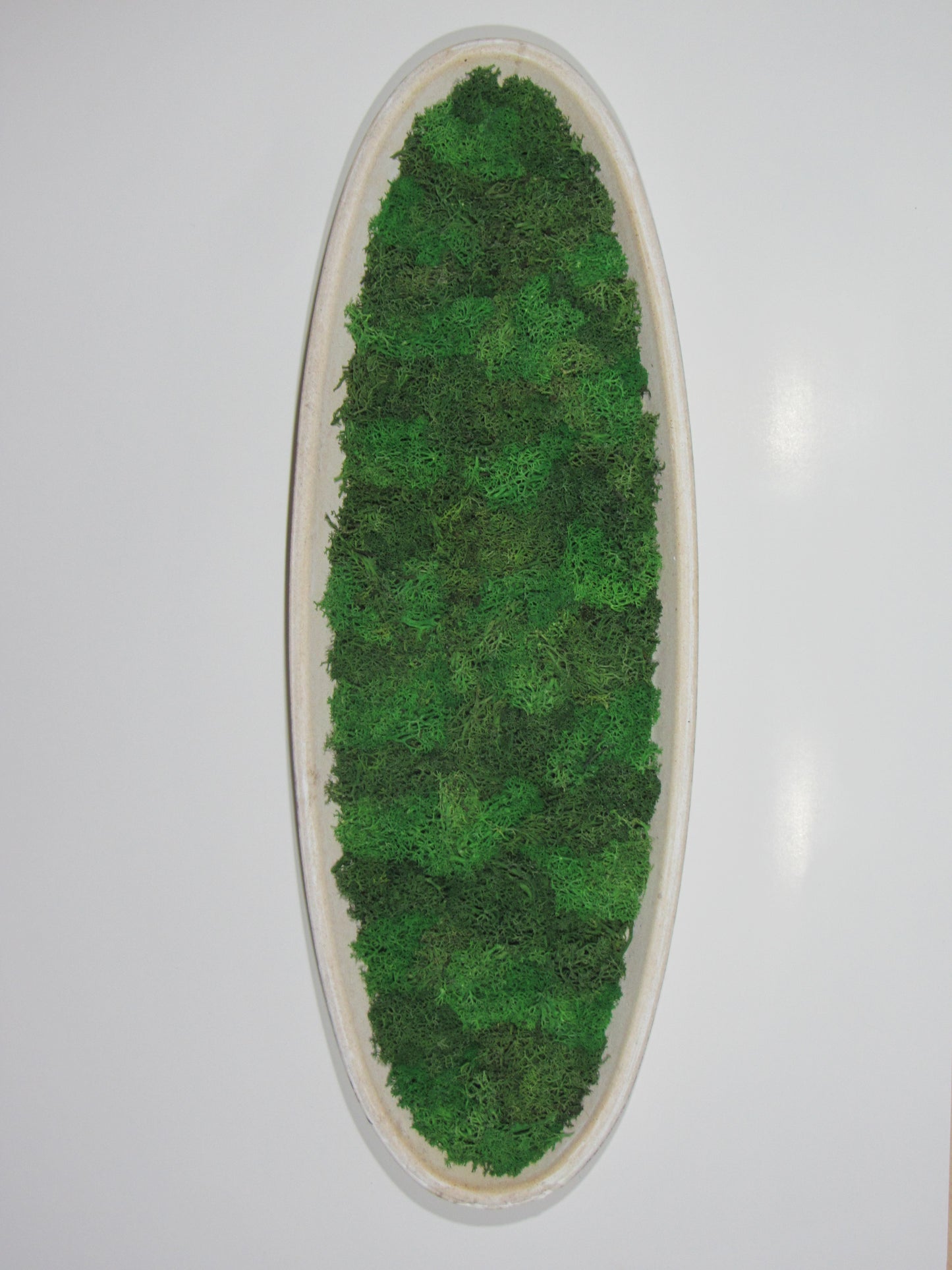 Moosbild Oval XXL 50 cm