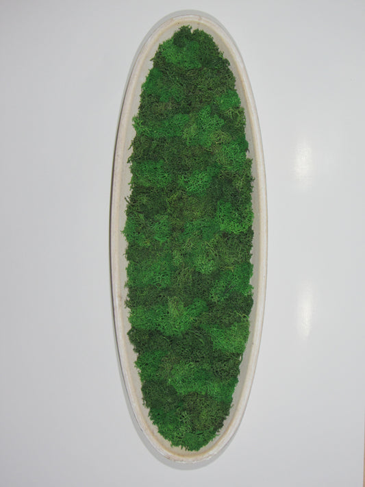 Moosbild Oval XXL 50 cm