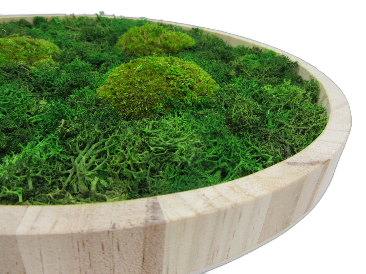 Moos Moosbild Wood rund 30cm "handmade"