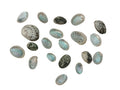 Exotisches Muschelset 20 Stück