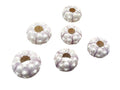 Seeigelgehäuse Sputnik 6er Set
