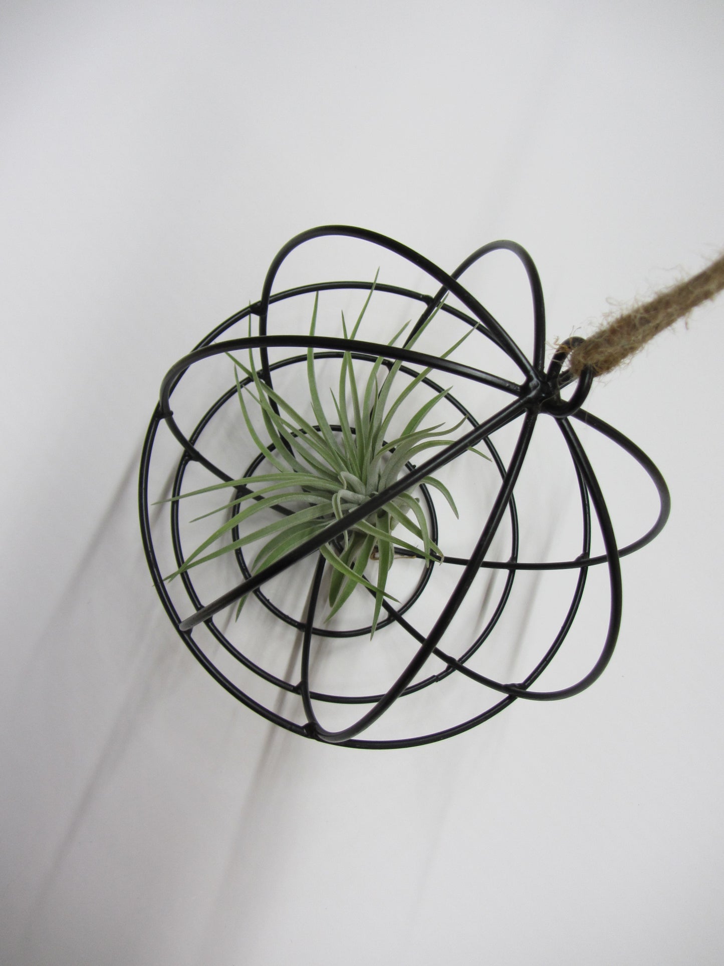 Hanging Ball mit Tillandsie Keine Kunstpflanze