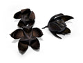 getrocknete Wildlilien in schwarz 3er Set